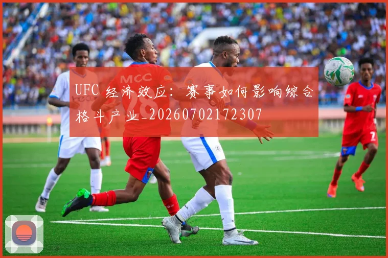 UFC 经济效应：赛事如何影响综合格斗产业_20260702172307
