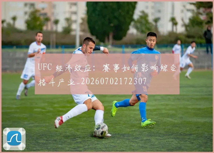 UFC 经济效应:赛事如何影响综合格斗产业_20260702172307