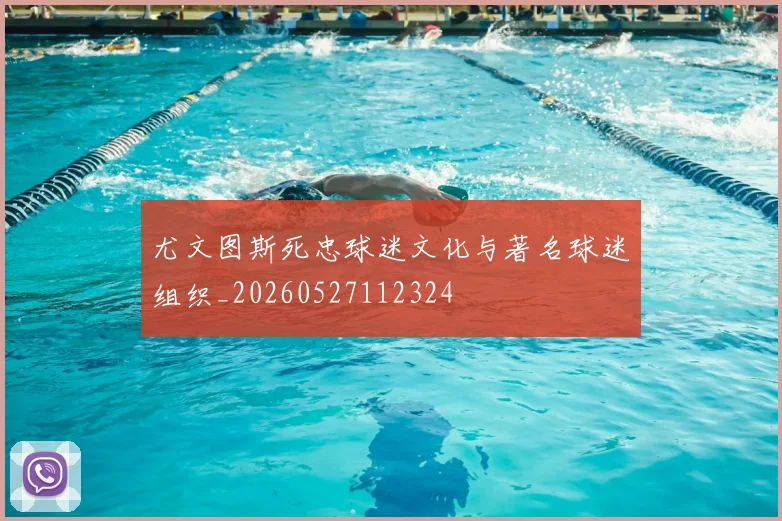 尤文图斯死忠球迷文化与著名球迷组织_20260527112324