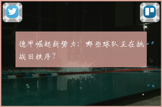 德甲崛起新势力：哪些球队正在挑战旧秩序？