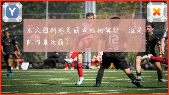 尤文图斯球员薪资结构解析:谁是队内最高薪?