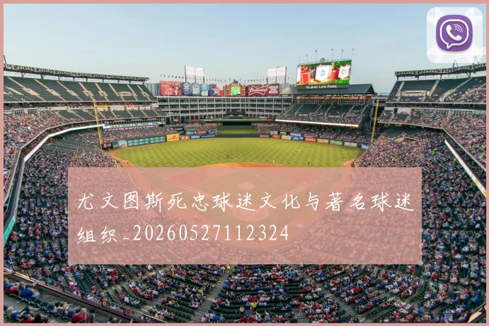 尤文图斯死忠球迷文化与著名球迷组织_20260527112324